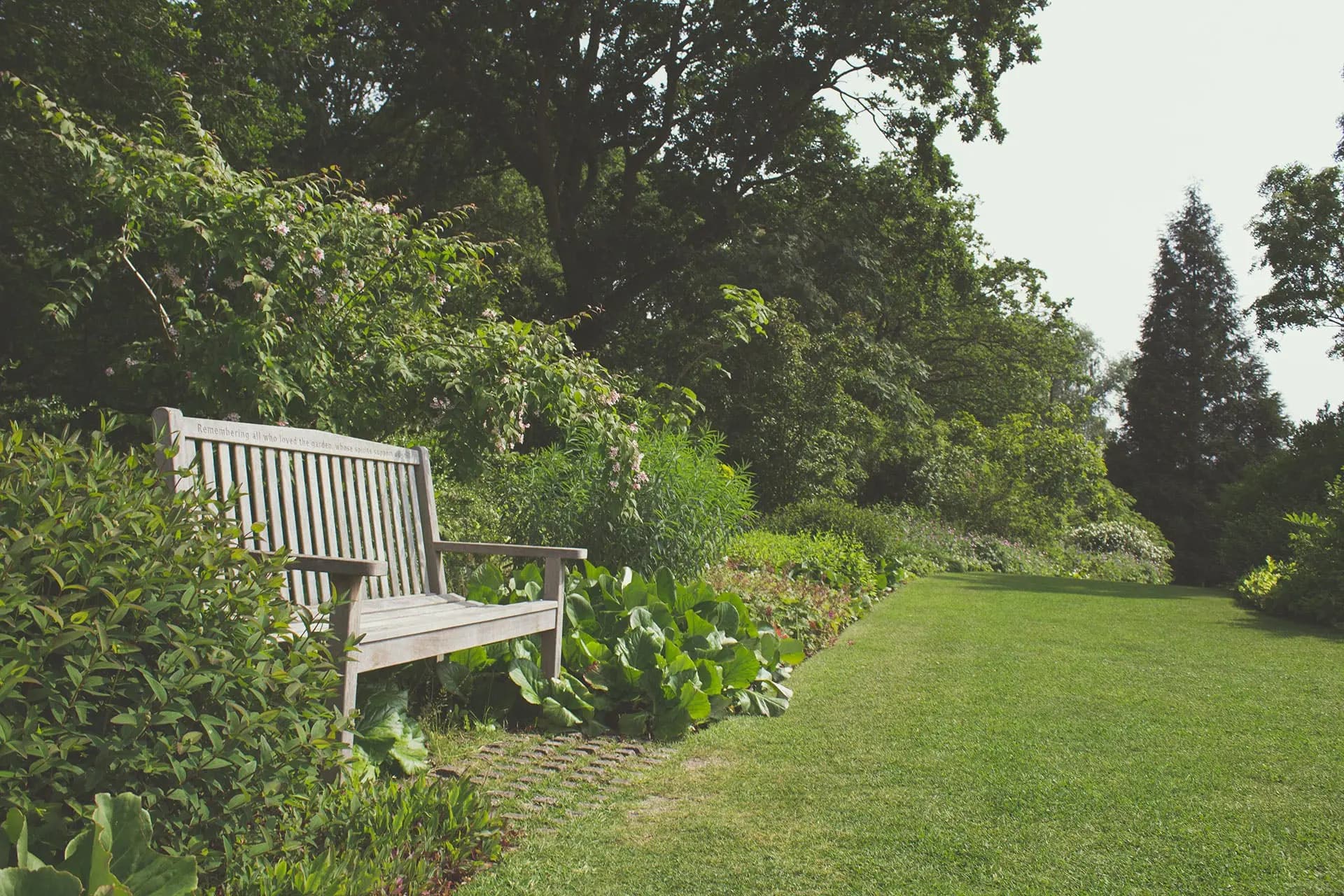 Garden with bench