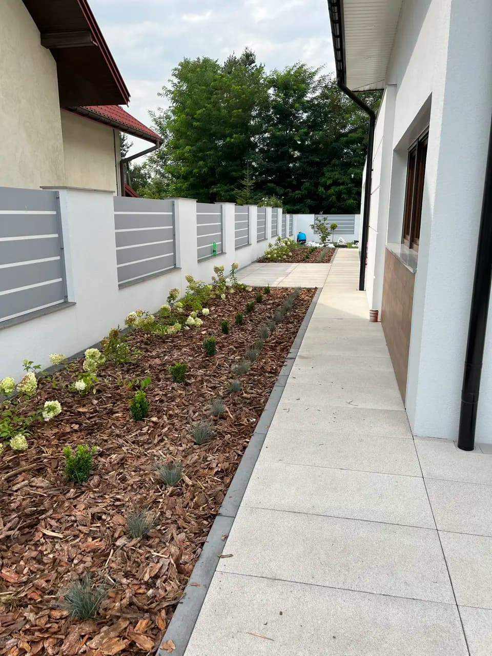 Nasadzenia krzewów obok domu